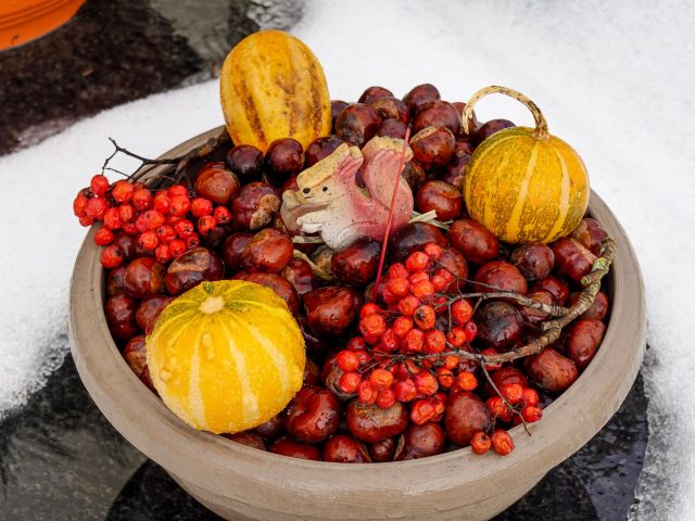 Les fruits et légumes d’hiver pour une santé rayonnante
