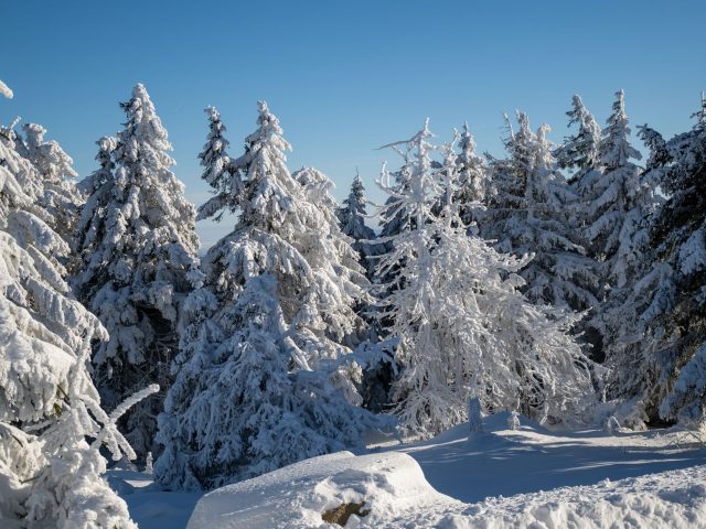 Gérer le stress et l’anxiété pendant la saison hivernale